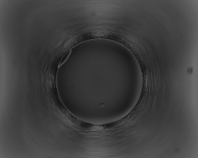 X0000091480227200708301921