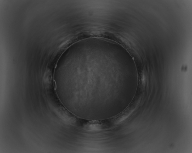 X0000091480228200708301921