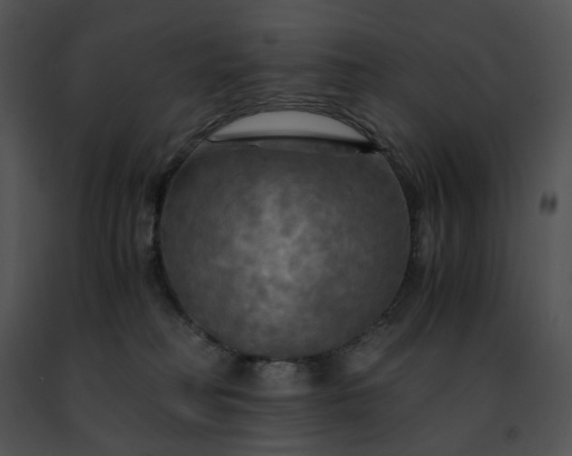 X0000091480230200708301921