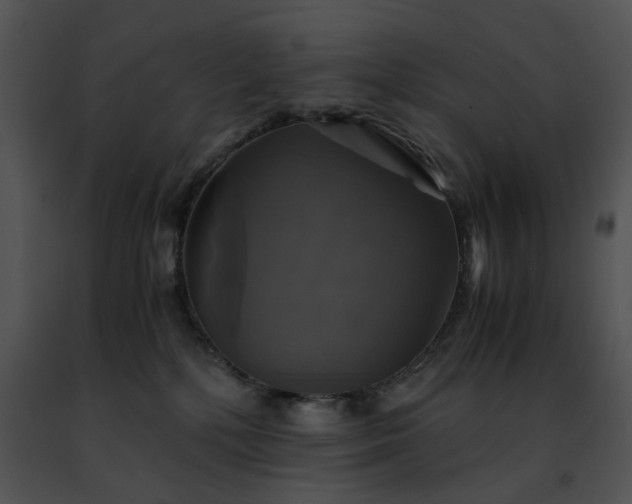 X0000091480232200708301921