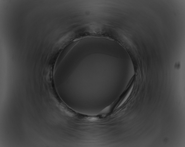 X0000091480233200708301921