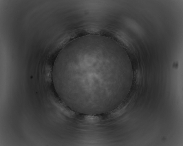 X0000091480234200708301921