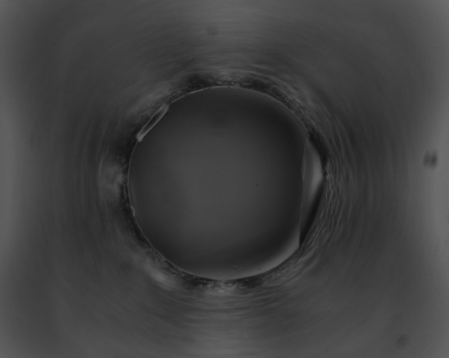 X0000091480235200708301921