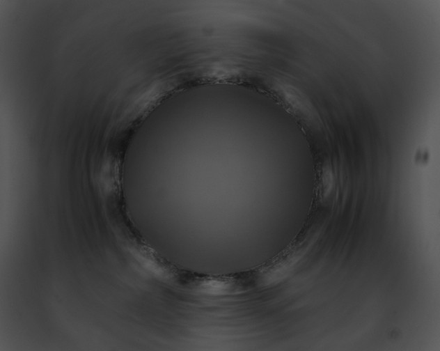 X0000091480236200708301921