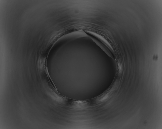 X0000091480239200708301921