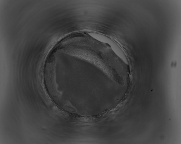 X0000091480241200708301920