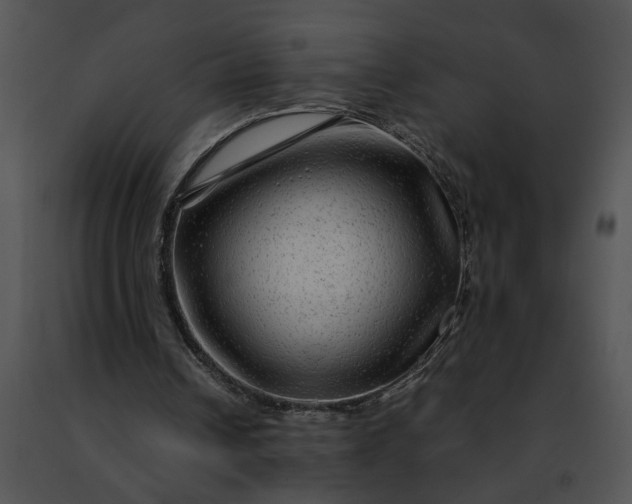 X0000091480242200708301920