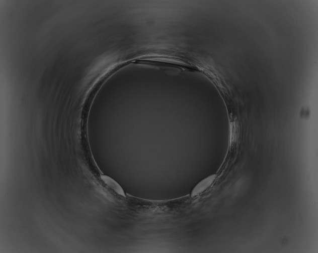 X0000091480243200708301920