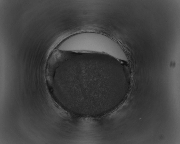 X0000091480244200708301920