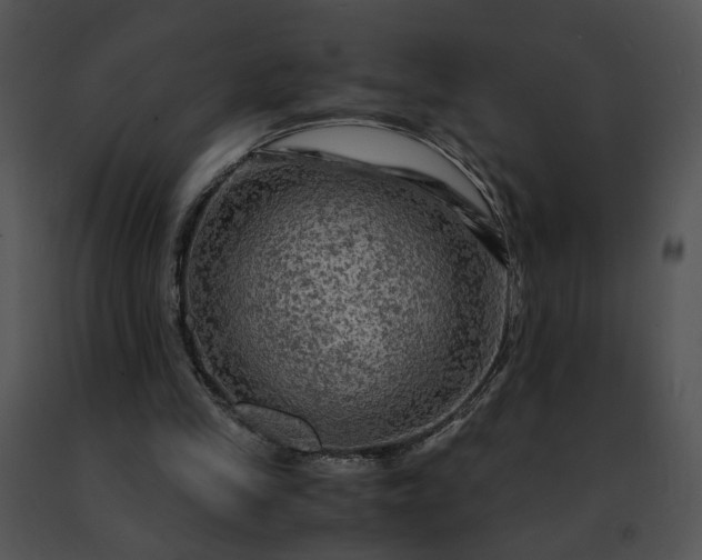 X0000091480245200708301920