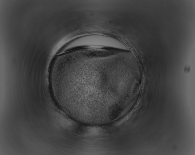 X0000091480246200708301920