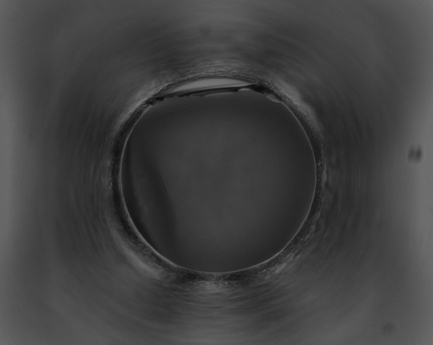 X0000091480250200708301920