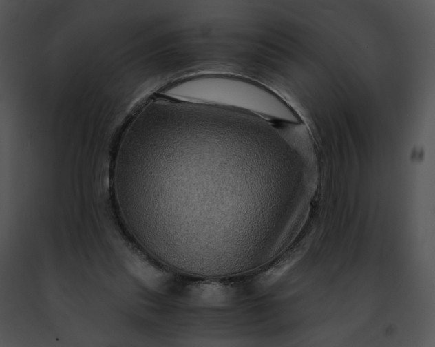 X0000091480253200708301920