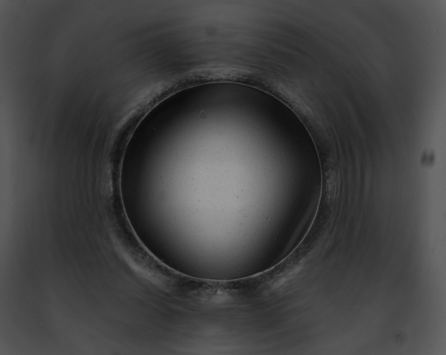 X0000091480254200708301920