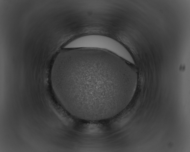 X0000091480255200708301920