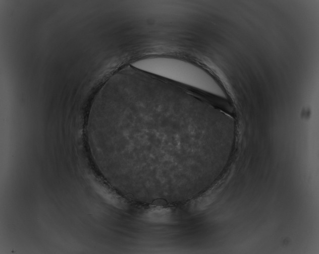 X0000091480257200708301920