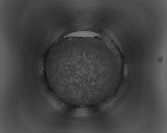 X0000091480259200708301920