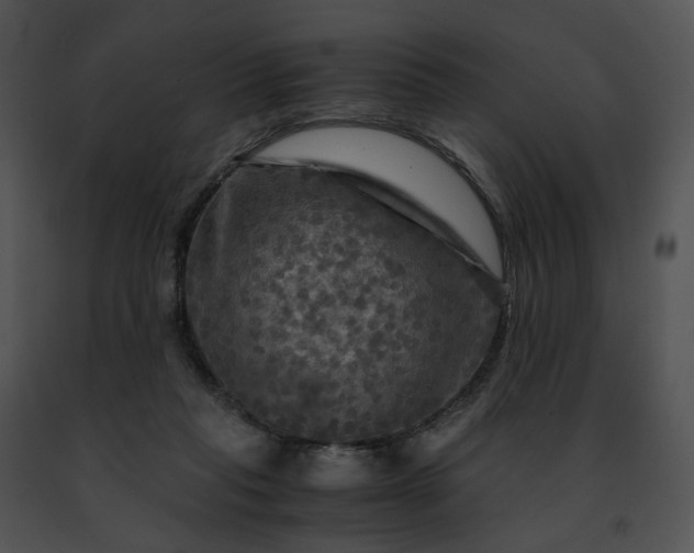 X0000091480261200708301921