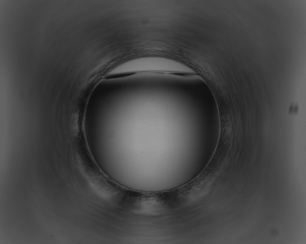 X0000091480262200708301921