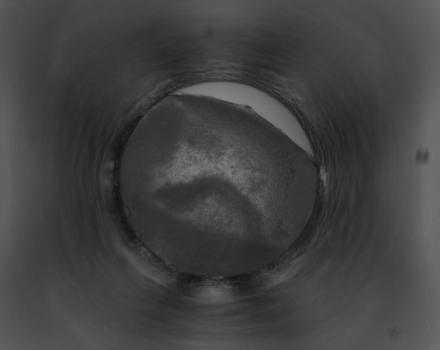 X0000091480263200708301921