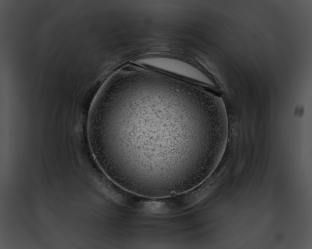 X0000091480265200708301921