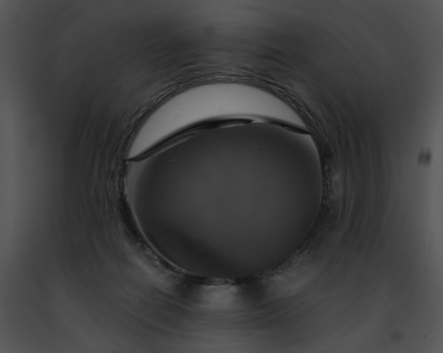 X0000091480266200708301921