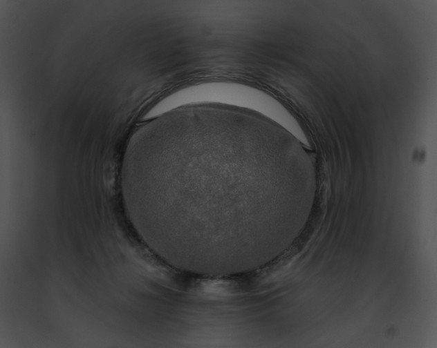 X0000091480268200708301921