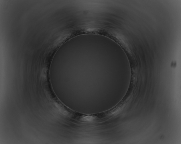 X0000091480269200708301921