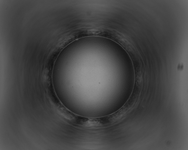 X0000091480270200708301921