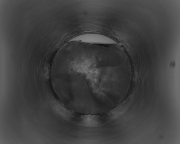 X0000091480273200708301921