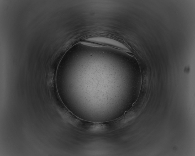 X0000091480274200708301921