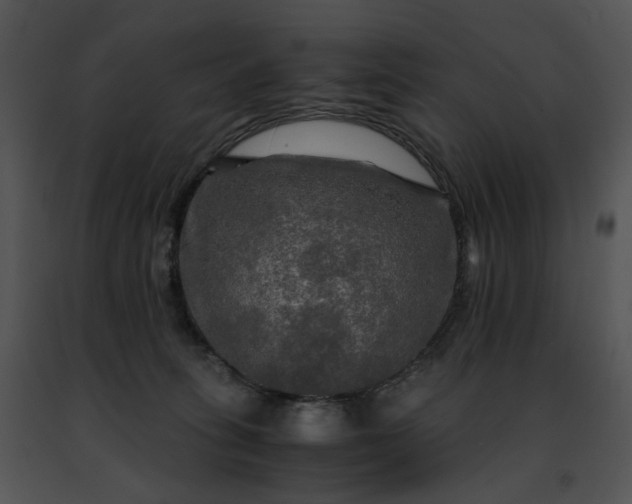 X0000091480275200708301921