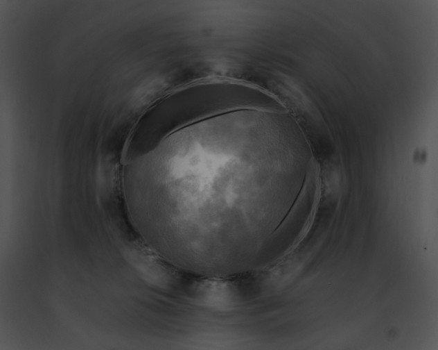 X0000091480276200708301921