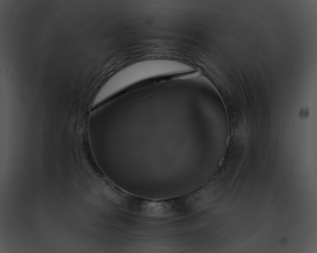 X0000091480277200708301921