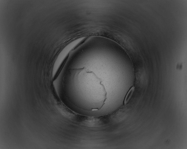 X0000091480278200708301921