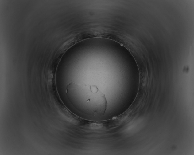 X0000091480279200708301921