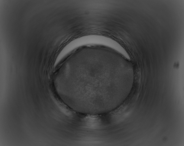 X0000091480280200708301921