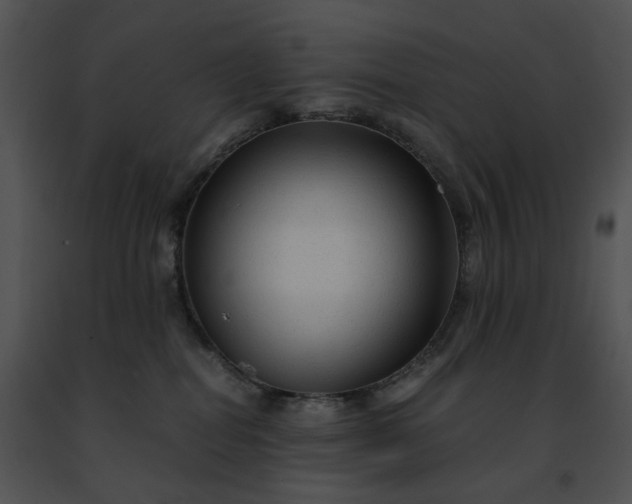 X0000091480282200708301921