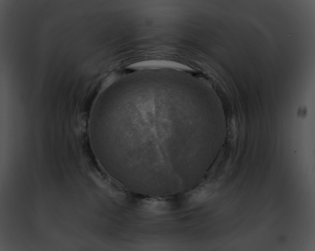 X0000091480284200708301921