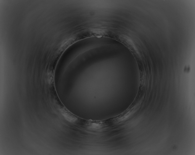 X0000091480285200708301921