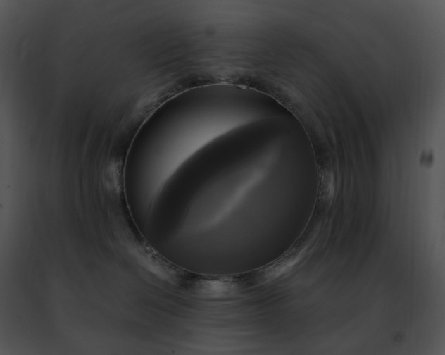 X0000091480286200708301921