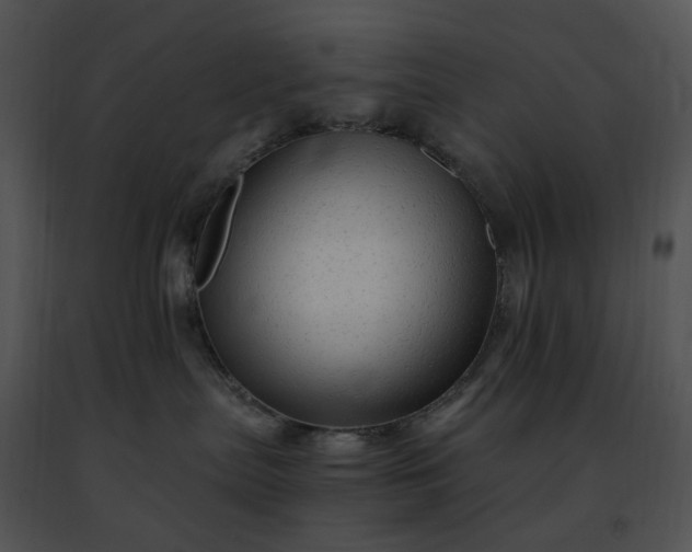 X0000091480287200708301921