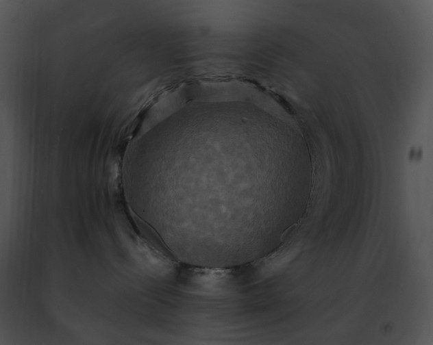 X0000091480288200708301921