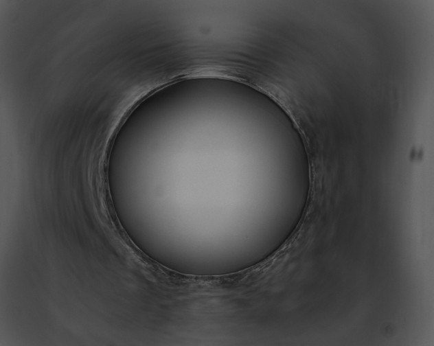 X0000091480289200708301920