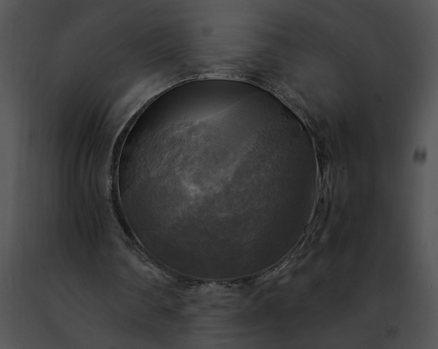 X0000091480290200708301920