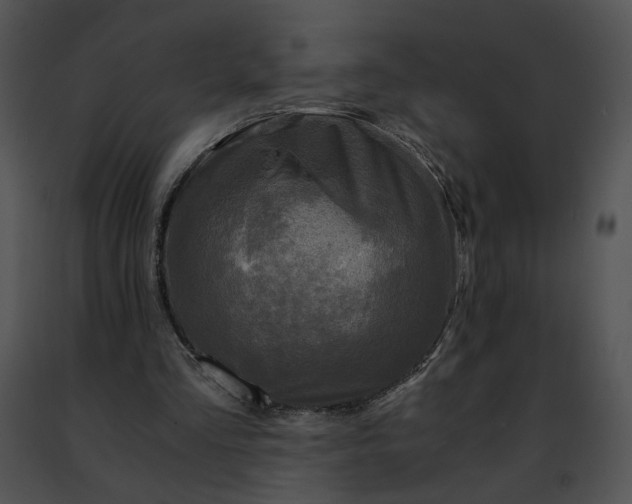 X0000091480293200708301920