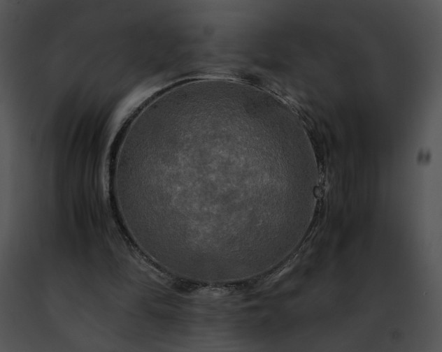 X0000091480294200708301920