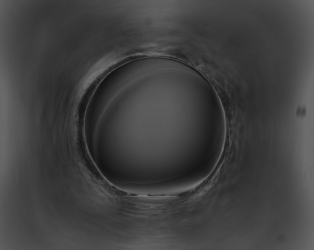 X0000091480295200708301920