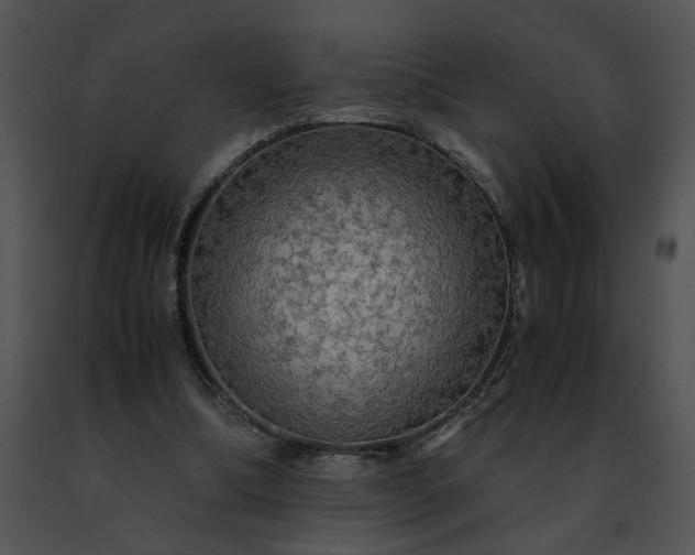 X0000091480298200708301920