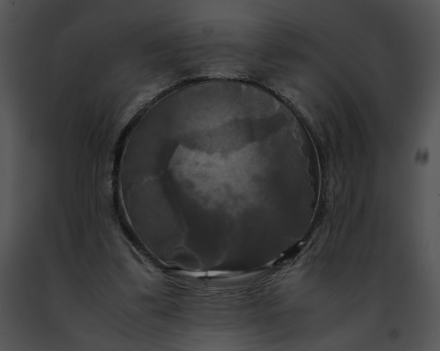 X0000091480299200708301920